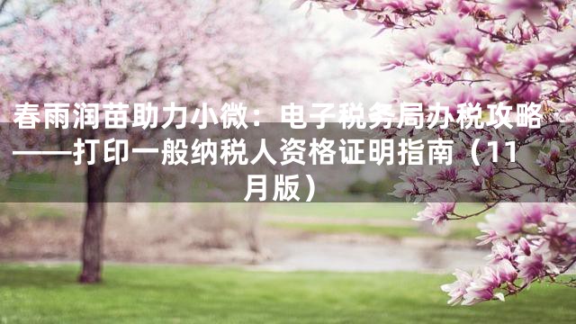 春雨润苗助力小微：电子税务局办税攻略——打印一般纳税人资格证明指南（11月版）
