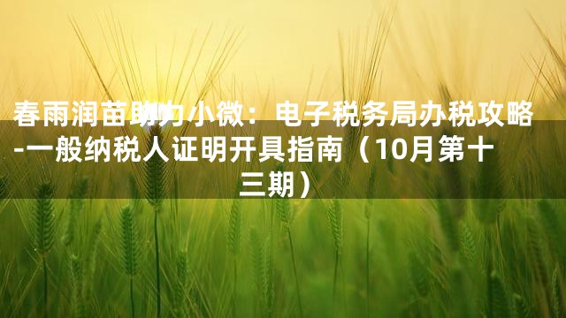 春雨润苗助力小微：电子税务局办税攻略-一般纳税人证明开具指南（10月第十三期）