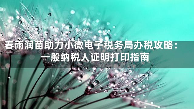 春雨润苗助力小微电子税务局办税攻略：一般纳税人证明打印指南
