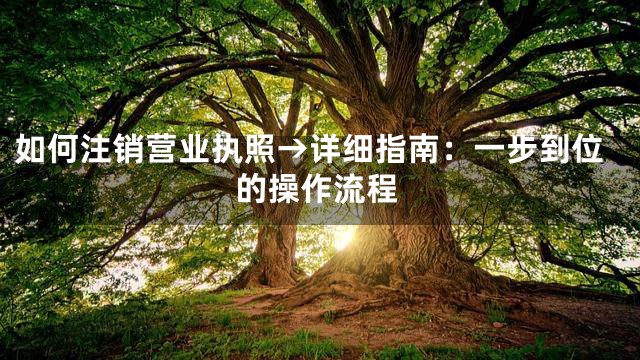 如何注销营业执照→详细指南：一步到位的操作流程