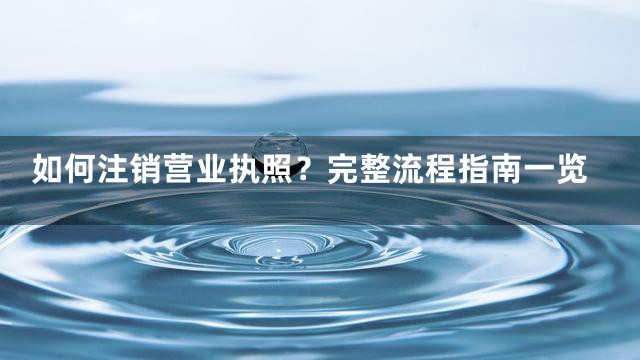 如何注销营业执照？完整流程指南一览