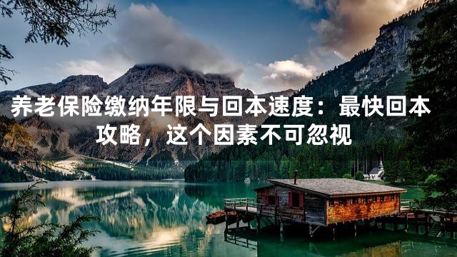 养老保险缴纳年限与回本速度：最快回本攻略，这个因素不可忽视