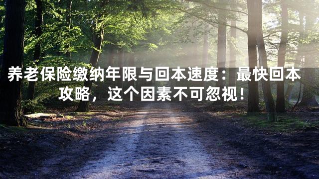 养老保险缴纳年限与回本速度：最快回本攻略，这个因素不可忽视！