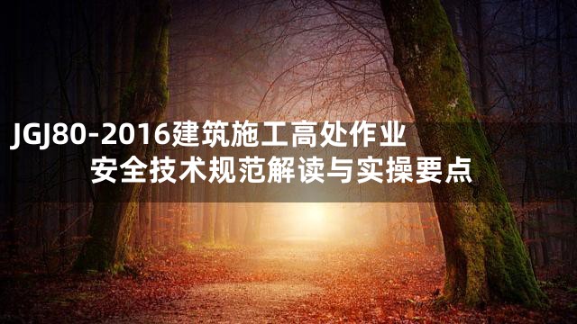 JGJ80-2016建筑施工高处作业安全技术规范解读与实操要点