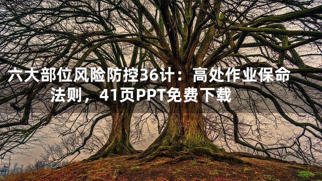 六大部位风险防控36计：高处作业保命法则，41页PPT免费下载