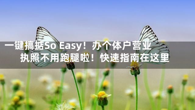 一键搞掂So Easy！办个体户营业执照不用跑腿啦！快速指南在这里