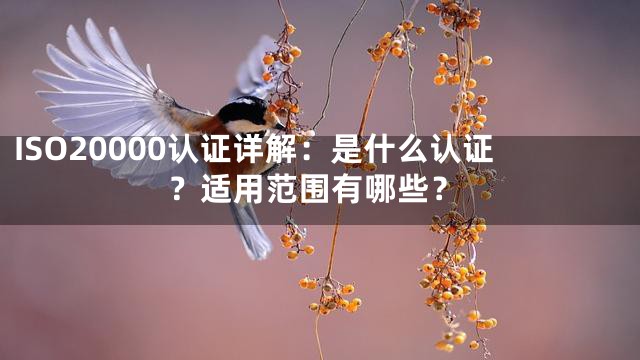 ISO20000认证详解：是什么认证？适用范围有哪些？