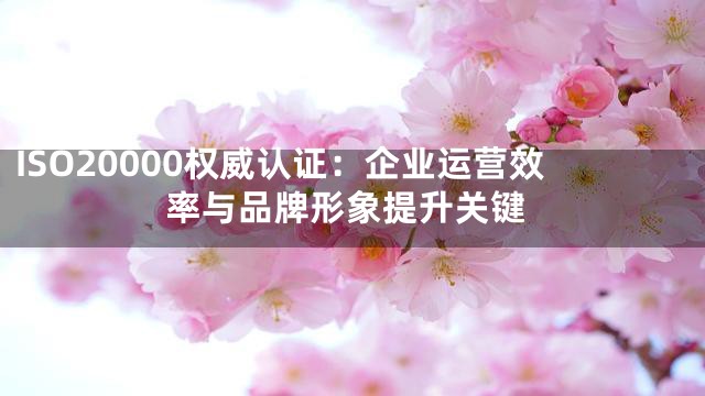 ISO20000权威认证：企业运营效率与品牌形象提升关键