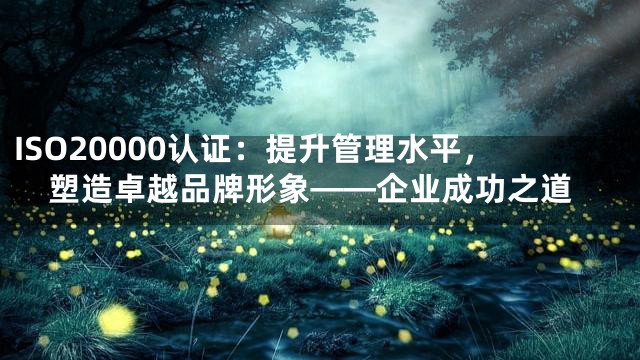 ISO20000认证：提升管理水平，塑造卓越品牌形象——企业成功之道