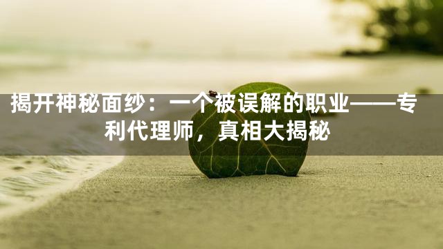 揭开神秘面纱：一个被误解的职业——专利代理师，真相大揭秘