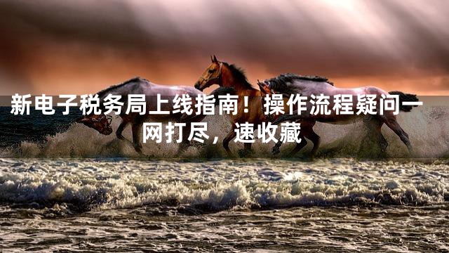 新电子税务局上线指南！操作流程疑问一网打尽，速收藏
