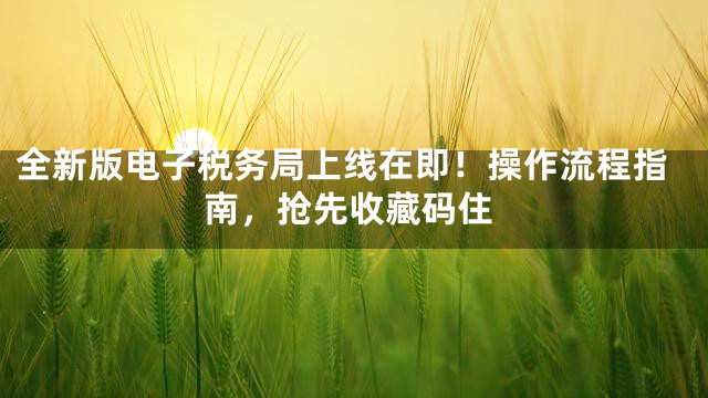 全新版电子税务局上线在即！操作流程指南，抢先收藏码住