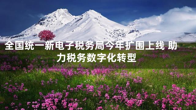 全国统一新电子税务局今年扩围上线 助力税务数字化转型