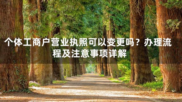 个体工商户营业执照可以变更吗？办理流程及注意事项详解
