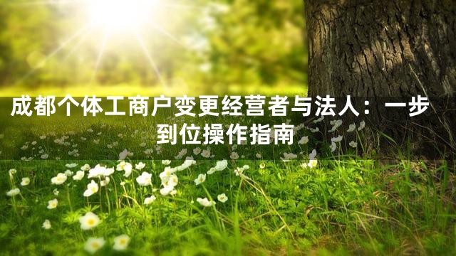 成都个体工商户变更经营者与法人：一步到位操作指南