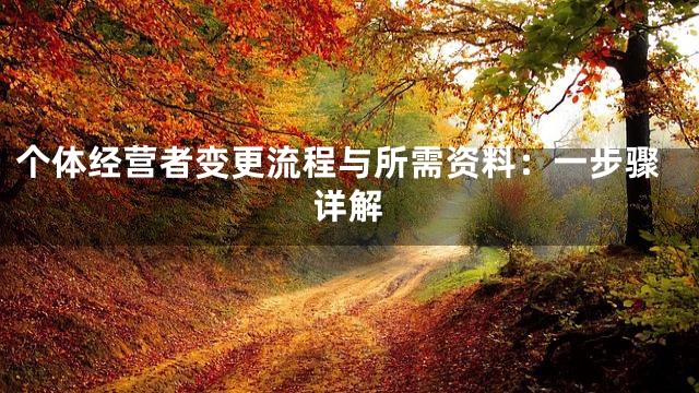 个体经营者变更流程与所需资料：一步骤详解