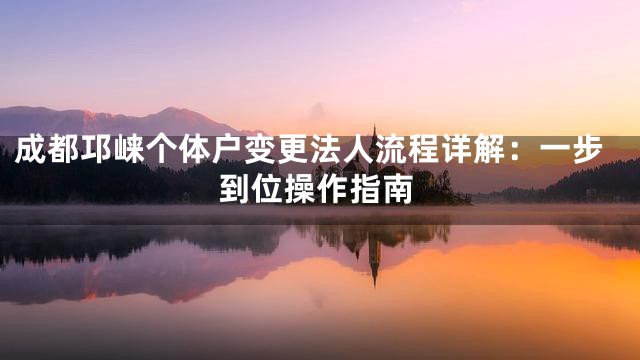 成都邛崃个体户变更法人流程详解：一步到位操作指南