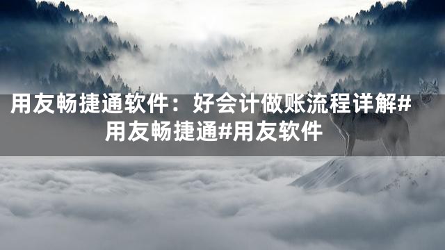 用友畅捷通软件：好会计做账流程详解#用友畅捷通#用友软件