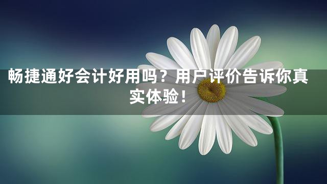 畅捷通好会计好用吗？用户评价告诉你真实体验！