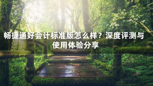 畅捷通好会计标准版怎么样？深度评测与使用体验分享