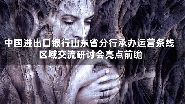 中国进出口银行山东省分行承办运营条线区域交流研讨会亮点前瞻