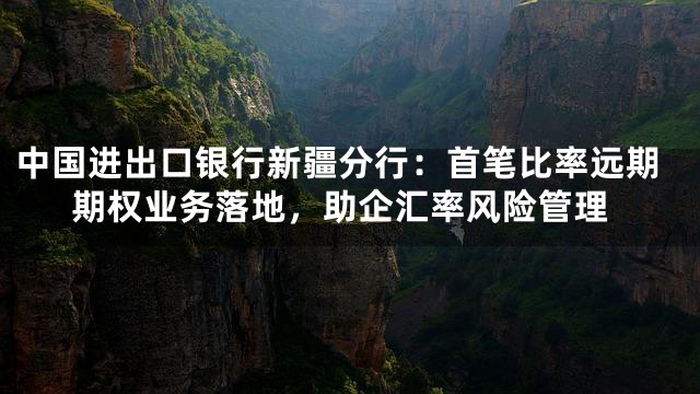 中国进出口银行新疆分行：首笔比率远期期权业务落地，助企汇率风险管理