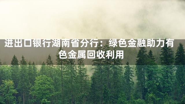 进出口银行湖南省分行：绿色金融助力有色金属回收利用