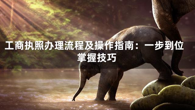 工商执照办理流程及操作指南：一步到位掌握技巧