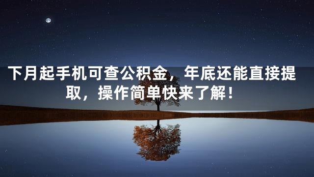 下月起手机可查公积金，年底还能直接提取，操作简单快来了解！