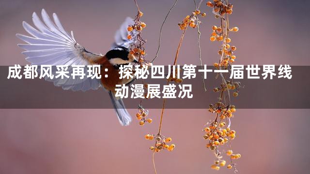成都风采再现：探秘四川第十一届世界线动漫展盛况