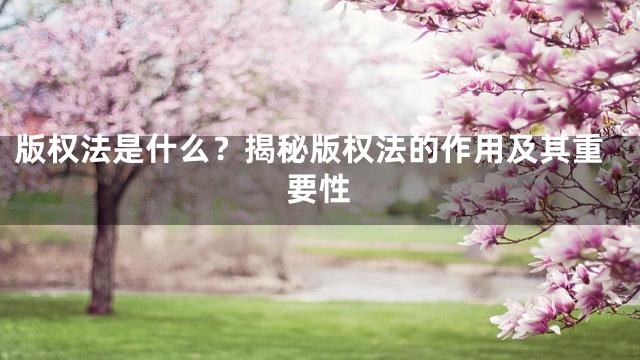 版权法是什么？揭秘版权法的作用及其重要性