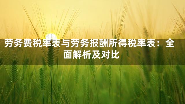 劳务费税率表与劳务报酬所得税率表：全面解析及对比