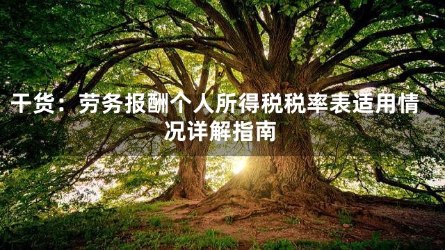 干货：劳务报酬个人所得税税率表适用情况详解指南