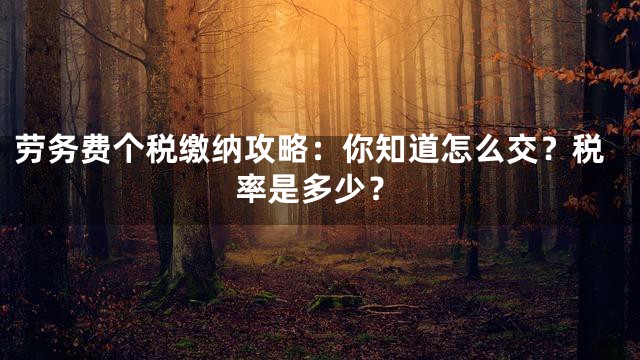 劳务费个税缴纳攻略：你知道怎么交？税率是多少？
