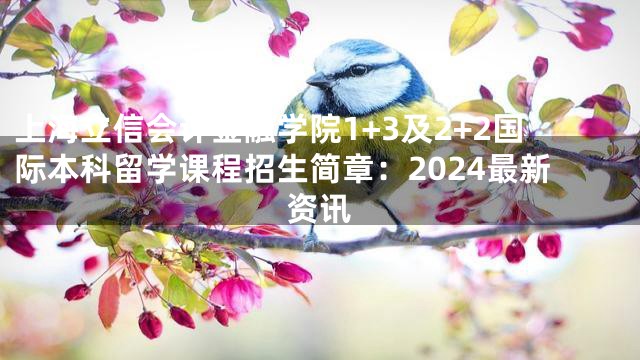 上海立信会计金融学院1+3及2+2国际本科留学课程招生简章：2024最新资讯