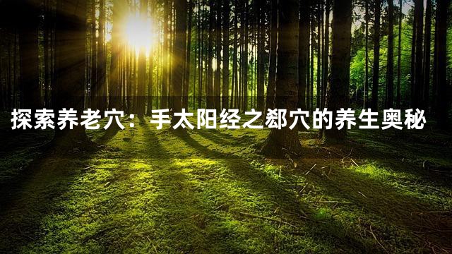 探索养老穴：手太阳经之郄穴的养生奥秘