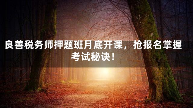 良善税务师押题班月底开课，抢报名掌握考试秘诀！