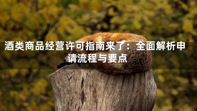 酒类商品经营许可指南来了：全面解析申请流程与要点