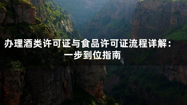 办理酒类许可证与食品许可证流程详解：一步到位指南