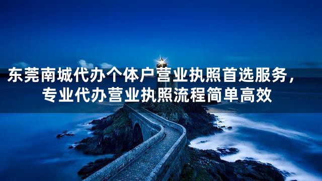 东莞南城代办个体户营业执照首选服务，专业代办营业执照流程简单高效