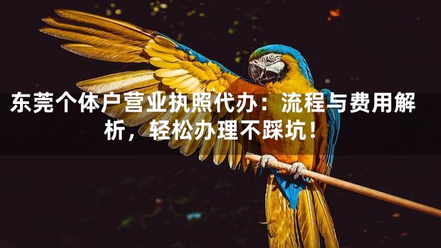 东莞个体户营业执照代办：流程与费用解析，轻松办理不踩坑！