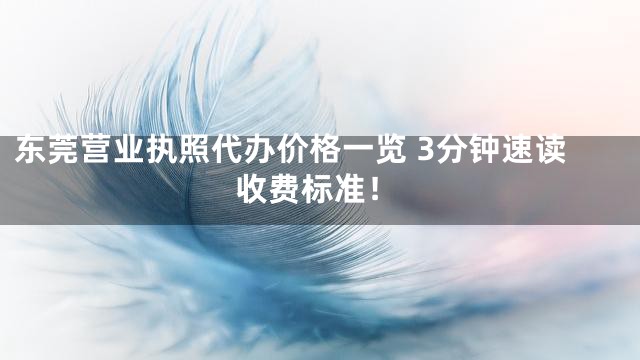 东莞营业执照代办价格一览 3分钟速读收费标准！