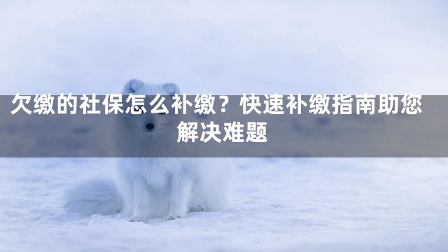 欠缴的社保怎么补缴？快速补缴指南助您解决难题
