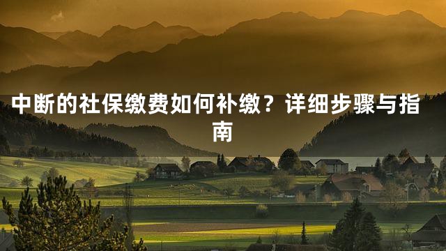 中断的社保缴费如何补缴？详细步骤与指南
