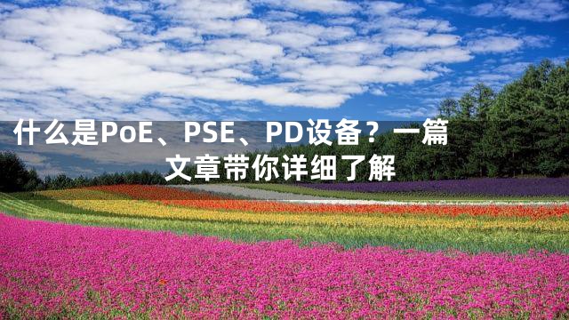 什么是PoE、PSE、PD设备？一篇文章带你详细了解