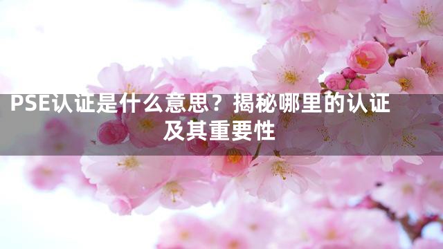 PSE认证是什么意思？揭秘哪里的认证及其重要性