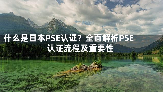 什么是日本PSE认证？全面解析PSE认证流程及重要性