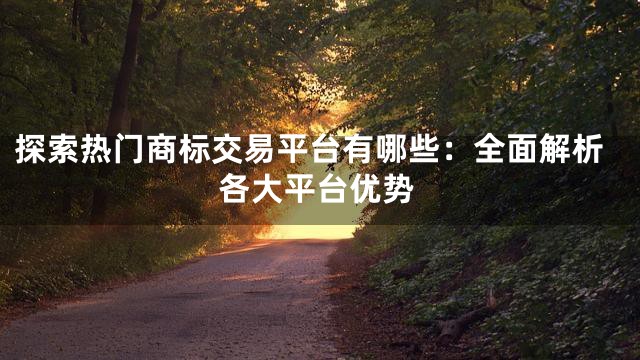 探索热门商标交易平台有哪些：全面解析各大平台优势