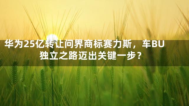 华为25亿转让问界商标赛力斯，车BU独立之路迈出关键一步？