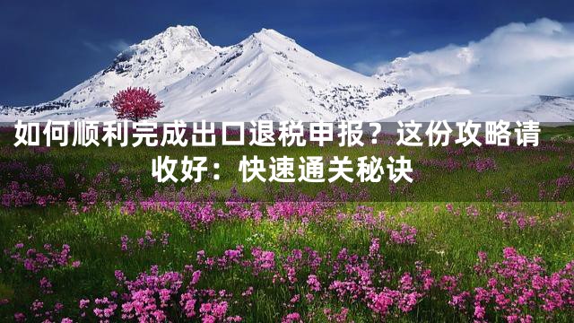 如何顺利完成出口退税申报？这份攻略请收好：快速通关秘诀
